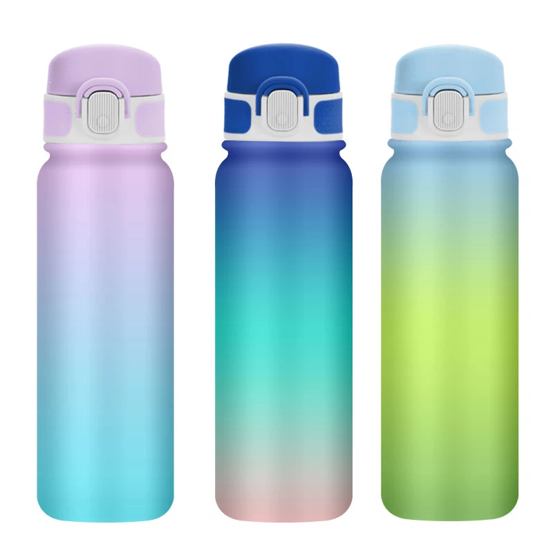 550ml Stainless Steel Water Bottle